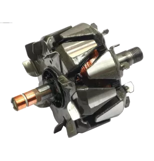 Rotor der Lichtmaschinen für Valeo 2542310, 2542471, SG12B020, SG12B045