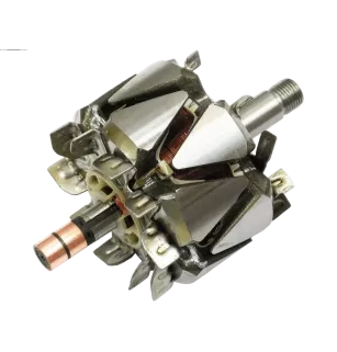 Rotor der Lichtmaschinen für Valeo SG10S0S028, SG10S036, SG10S037, SG10S039
