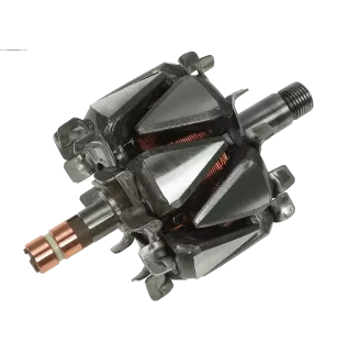 Rotor von Lichtmaschinen für Valeo TG12S111, TG12S128, TG9C013, TG9C095,