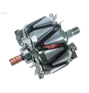 Rotor der Lichtmaschinen für Valeo TG17C039, TG17C040, TG17C041, TG17C044