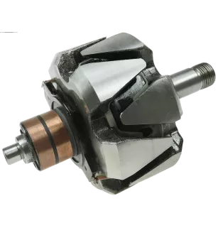 Rotor der Lichtmaschinen für Valeo A13N10, A13N109, A13N120, A13N126, A13