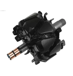 Rotor der Lichtmaschinen für Valeo SG8B015, SG8B016, SG8B017, SG8B018, SG