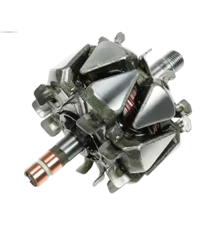 Rotor der Lichtmaschinen für Valeo SG9B095, SG9B108, SG9B121, SG9B136, SG