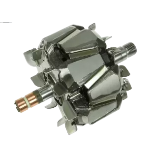 Rotor der Lichtmaschinen für Valeo CG20U015, FG23S010, FG23S011, FG23S012