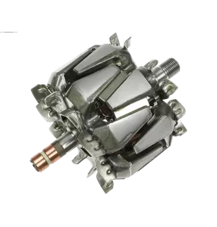 Rotor von Lichtmaschinen für Valeo TG23C011, TG23C012, TG23C013, TG23C017