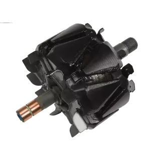 Rotor von Lichtmaschinen für Valeo TG14C046, 442298