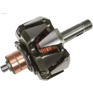 Rotor der Lichtmaschinen für Valeo A13N123, A13N129, A13N175, A13N215, A1