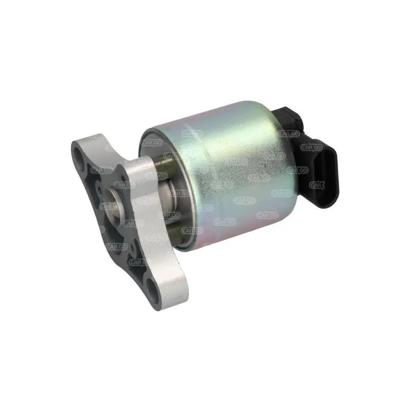 EGR valve Opel Astra, Vectra, Meriva: 17098055, 17200272, 5851024, 5851604