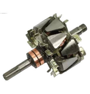 Rotor von Lichtmaschinen für Mitsubishi MD192134, MD192135, MD306834, MD3