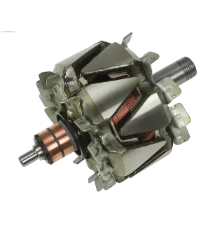 Rotor der Lichtmaschinen für Mitsubishi A005TG0491, A5TL0781ZT, A5TG0491