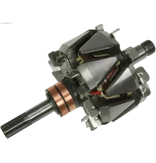 Rotor der Lichtmaschinen für Mitsubishi A003T03099, A003T04999, A003T0609