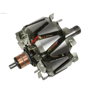 Rotor der Lichtmaschinen für Mitsubishi A002TX0191, A002TX2081, A002TX258