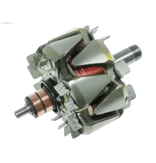 Rotor von Lichtmaschinen für Mitsubishi A5061