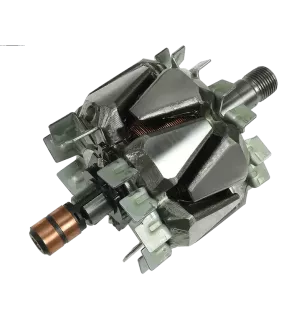 Rotor der Lichtmaschinen für Denso 1012100870, 1012101110, 1012101180, 10