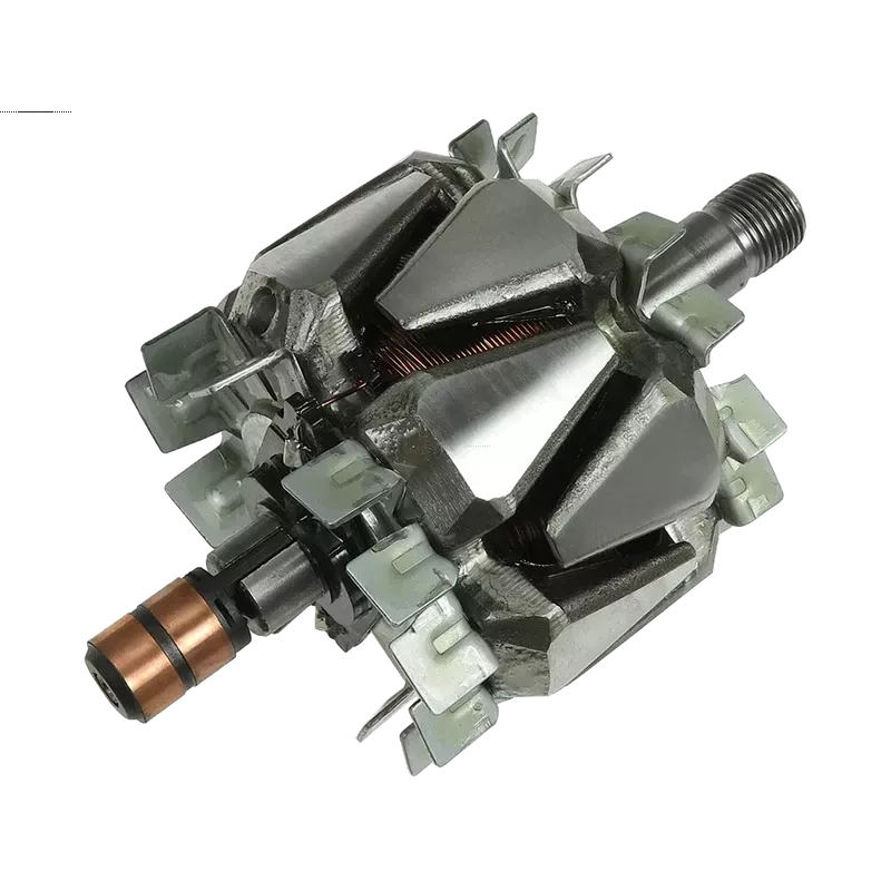 Rotor der Lichtmaschinen für Denso 1012100870, 1012101110, 1012101180, 10