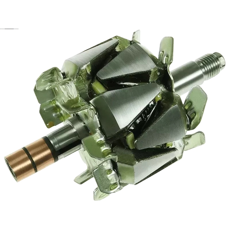 Rotor der Lichtmaschinen für Denso 1002111280, 1002111520, 1002111550, 10