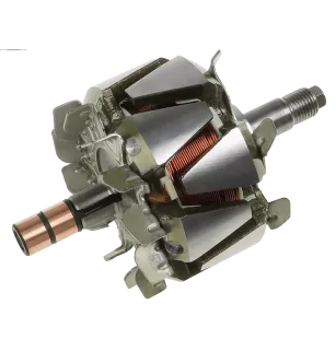Rotor der Lichtmaschinen für Denso 1002118622, 1002118890, 1002118900, 10