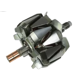Rotor der Lichtmaschinen für Denso 1002115600, 1002118622, 1002118890, 1