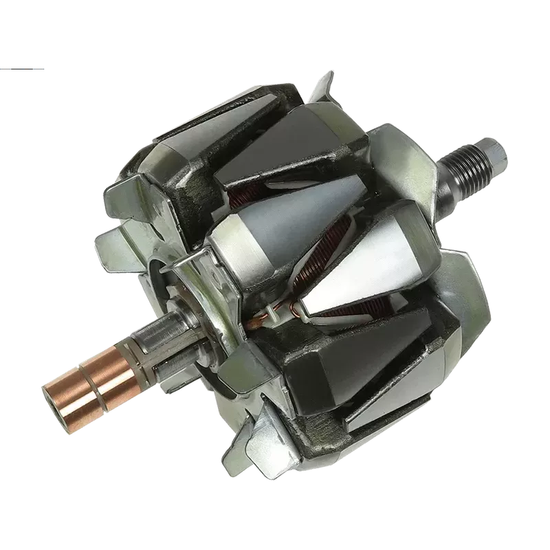 Rotore di alternatori per Denso 1002115600, 1002118622, 1002118890, 1