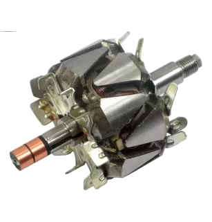 Rotor der Lichtmaschinen für Denso 1002118000, 1002118010, 1002118020, 10
