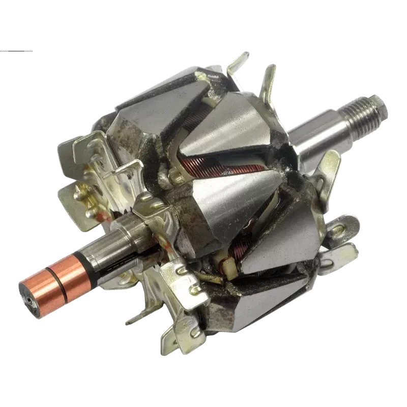 Rotor der Lichtmaschinen für Denso 1002118000, 1002118010, 1002118020, 10