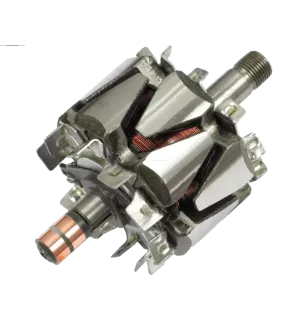 Rotor von Lichtmaschinen für Denso 1012100921, 1012100961, 1012101080, 10