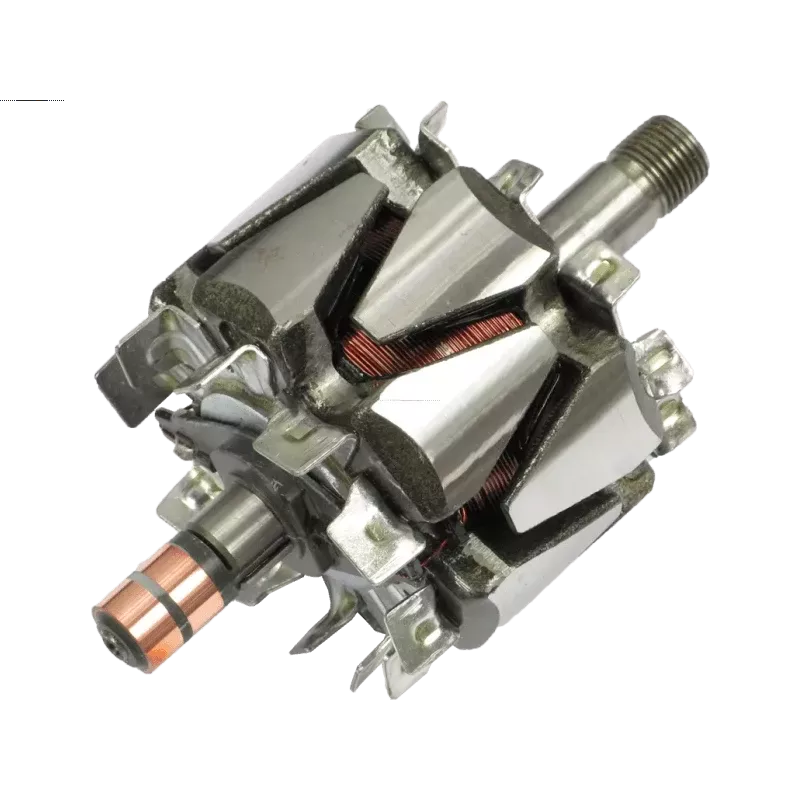 Rotor de alternadores para Denso 1012100921, 1012100961, 1012101080, 10