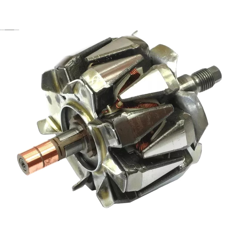 Rotor der Lichtmaschinen für Denso 1042102750, 1042102780, 1042103690, 10