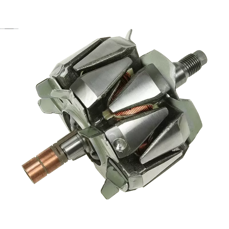 Rotor von Lichtmaschinen für Denso 1022110670, 1042103560, 1042104640
