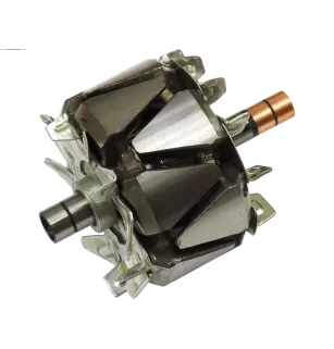 Rotor de alternadores para Denso 1002132530, 1002132940, 1002132950, ​​10