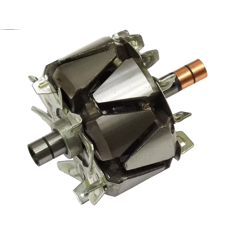 Rotor de alternadores para Denso 1002132530, 1002132940, 1002132950, ​​10