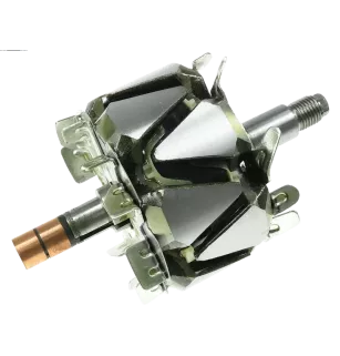 Rotor de alternadores para Denso 1002118000, 1002118030, 1002118031, 10