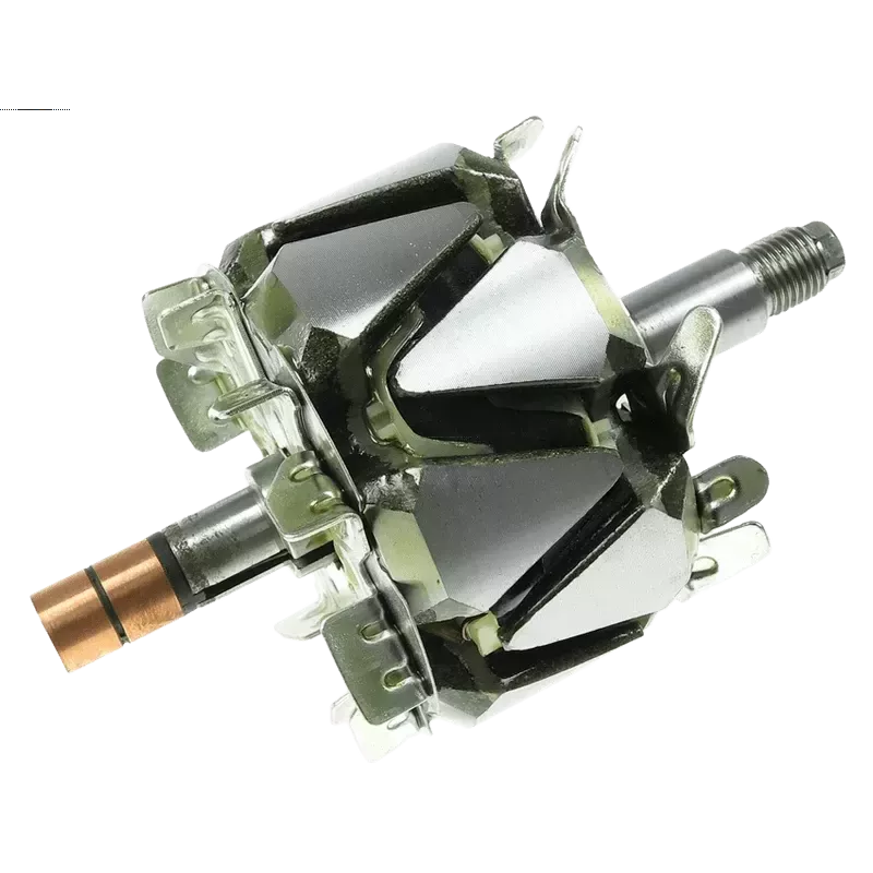 Rotor of alternators for Denso 1002118000, 1002118030, 1002118031, 10