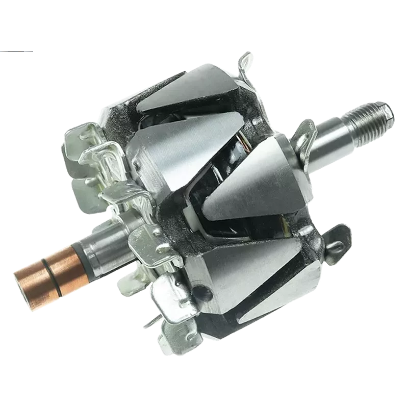 Rotor von Lichtmaschinen für Denso 1002111031, 1002111040, 1002111041, 10