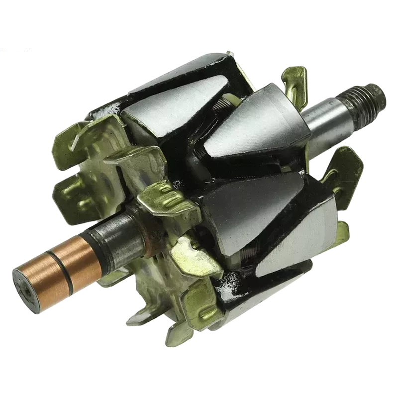 Rotore di alternatori per Denso 1002111400, 1002111401, 1002111402, 10