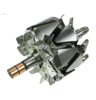 Rotor der Lichtmaschinen für Denso 1012110970, 1012110971, 2706016230
