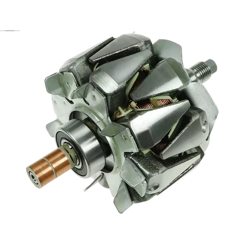 Rotore di alternatori per DENSO 1022110750, 1042101000, 1042101880, 10