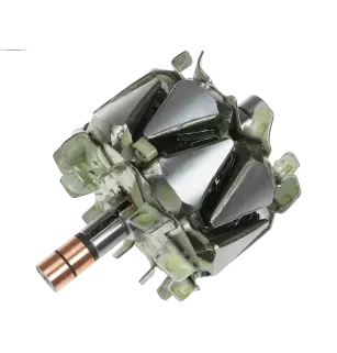 Rotor der Lichtmaschinen für Denso 1002103381, 1002103470, 1002103480, 10