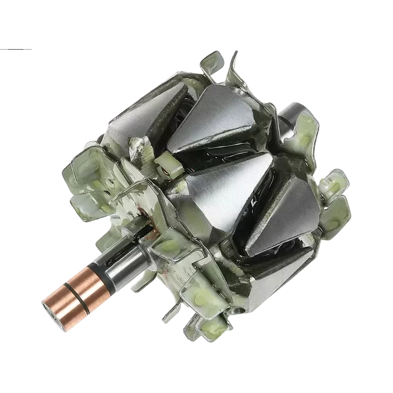 Rotor der Lichtmaschinen für Denso 1002103381, 1002103470, 1002103480, 10