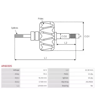 Rotor de alternadores para Denso 1002103381, 1002103470, 1002103480, 10