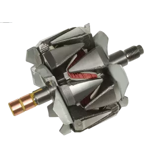 Rotor von Lichtmaschinen für Denso 1042103800