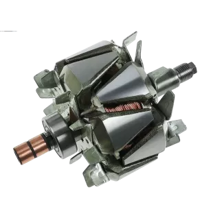 Rotor der Lichtmaschinen für Denso 1002116210, 1002116240, 1002116250, 10
