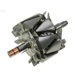 Rotor der Lichtmaschinen für Denso 1002116031, 1002116050, 1002116051, 10