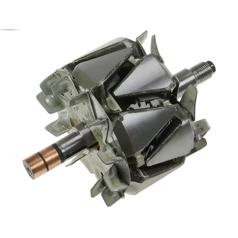 Rotore di alternatori per Denso 1002116031, 1002116050, 1002116051, 10