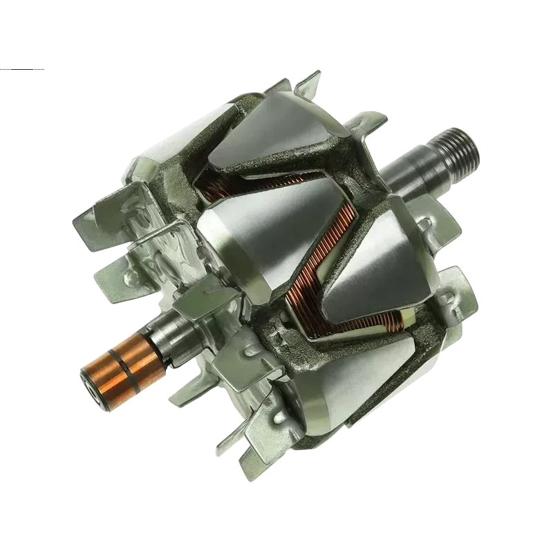 Rotore di alternatori per Ford 1120211, 1120213, 1120215