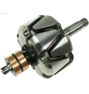 Rotor der Lichtmaschinen für Magneton 9515120, 9515122, 9515124