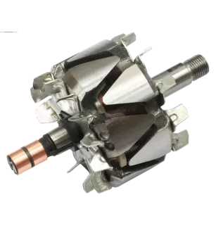Rotor der Lichtmaschinen für ISKRA / LETRIKA 11.201.498, 11201666, 112018