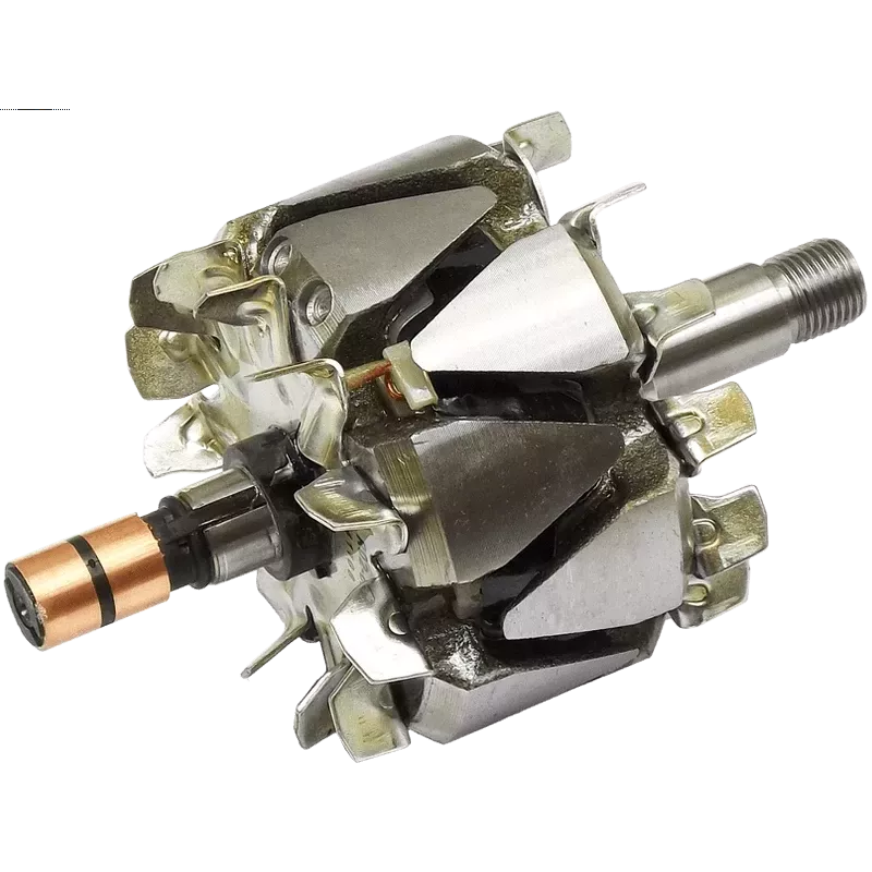 Rotor der Lichtmaschinen für ISKRA / LETRIKA 11203893, 11204043, 112040