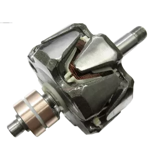 Rotor der Lichtmaschinen für Magneton 9515170, 9515241, 9515461, 95154