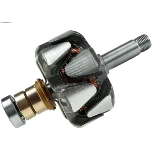 Rotor alternateur 12V 60A Iskra 11204448 AR9015(LETRIKA)